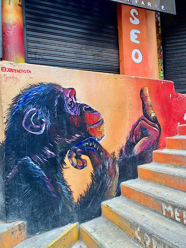 EinSchimpanse zeigt den Mittelfinger unter dem Schriftzug "SEO"